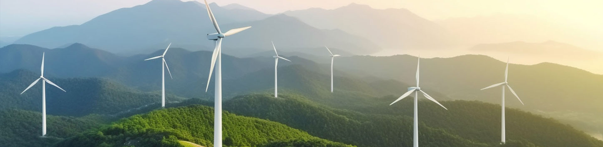 引领风光循环产业新篇章，共筑可持续发展的梦想