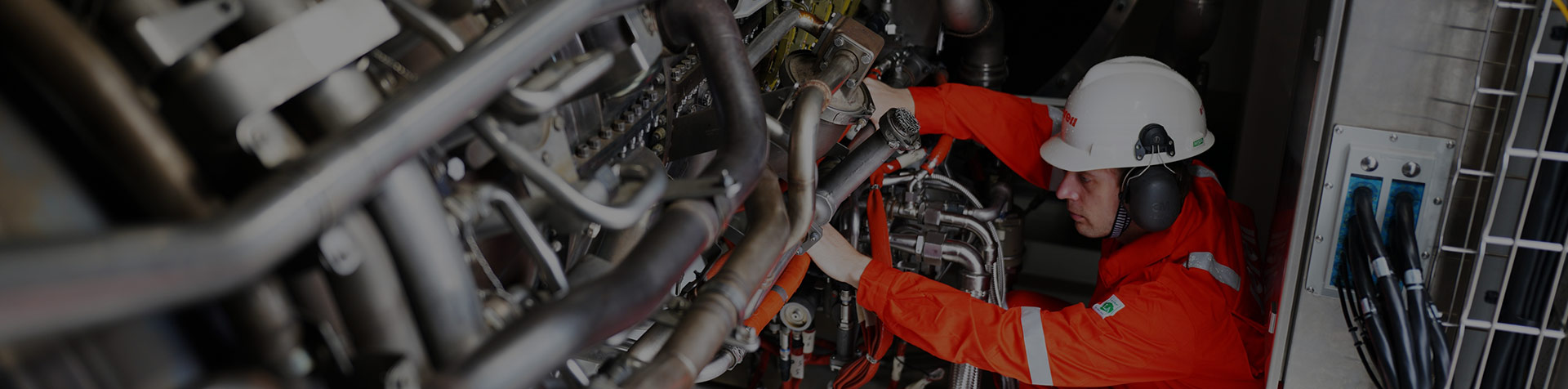 A Global Expert in Power Solutions